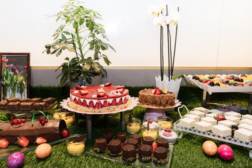 Large assortment of desserts, muffins, cakes, tarts. Candy bar wedding reception brunch buffet