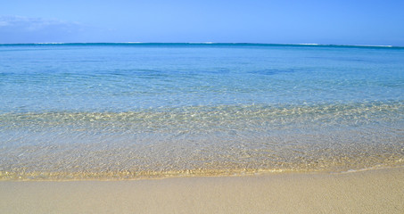 tropical white sand beach with turquoise water