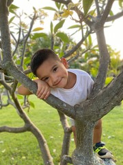 boy on tree