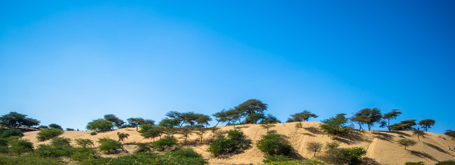 desert of  Jaisalmer the golden city, an ideal allure for travel enthusiasts, Sam Sand Dunes
