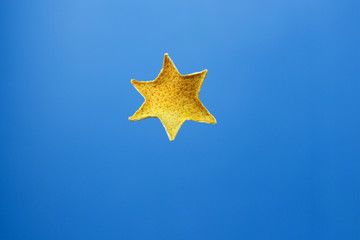 Decorative six-pointed star made of dry citrus peel on a blue background.