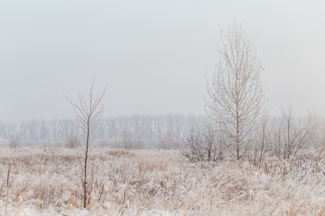 Frosty winter landscape