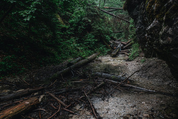 Sucha Bela river after rain. Moody and dark forest. Slovak Paradise National Park
