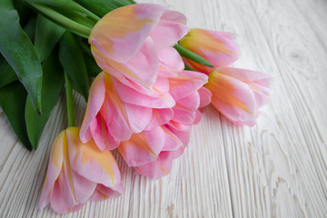 Spring bouquet of pink tulips on wooden white background