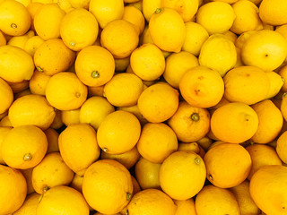 lots of ripe citrus yellow lemons to eat like a background