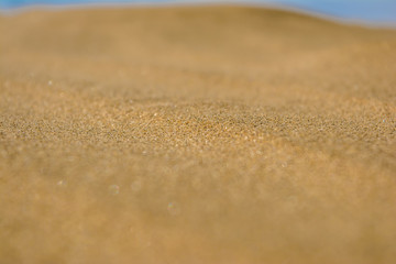 desert of  Jaisalmer the golden city, an ideal allure for travel enthusiasts, Sam Sand Dunes
