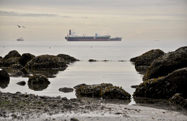 Cargo ship on the shoreline