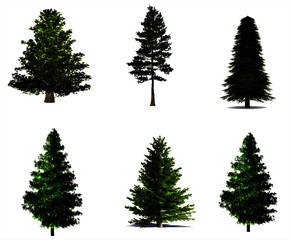 Vector illustration of a collection Christmas pine trees in different layers on white background
