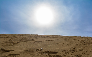 desert of  Jaisalmer the golden city, an ideal allure for travel enthusiasts, Sam Sand Dunes
