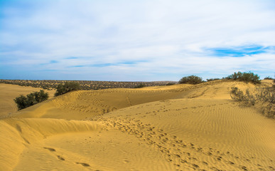 desert of  Jaisalmer the golden city, an ideal allure for travel enthusiasts, Sam Sand Dunes
