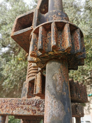 Fototapeta na wymiar rusty detail of a mechanism in a park on a background of greenery