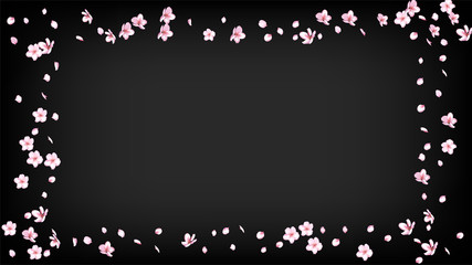 Nice Sakura Blossom Isolated Vector. Pastel Falling 3d Petals Wedding Border. Japanese Blurred Flowers Wallpaper. Valentine, Mother's Day Realistic Nice Sakura Blossom Isolated on Black