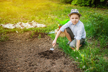 Cute blong boy gardeners planting flowers in the summer garden at sunset. Summer activities. Happy childhood