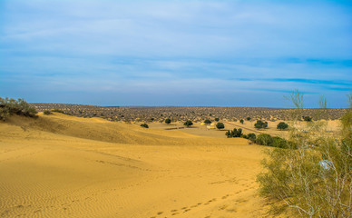 desert of  Jaisalmer the golden city, an ideal allure for travel enthusiasts, Sam Sand Dunes

