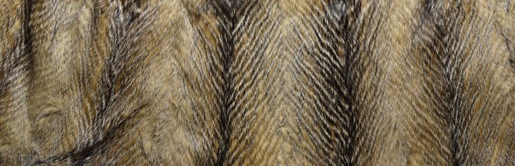 Cured skin with fur, brown background