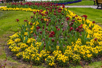 Blumenbeet im Fr&uuml;hling