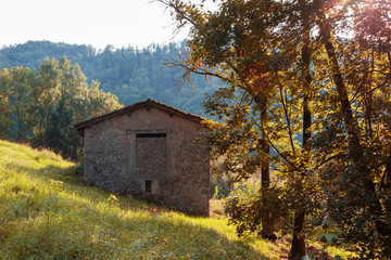 view of the autumnal mountain nature with its colors, Italian Alps