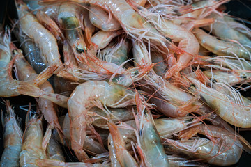 Fresh red mediterranean italian shimps.kitchen food concept background