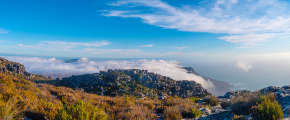 Cape town and table Mountain panorama