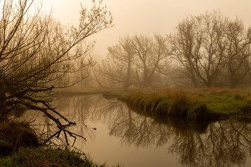 misty morning on the river