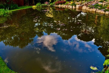 Fototapeta na wymiar Skey and trees reflection in garden pond