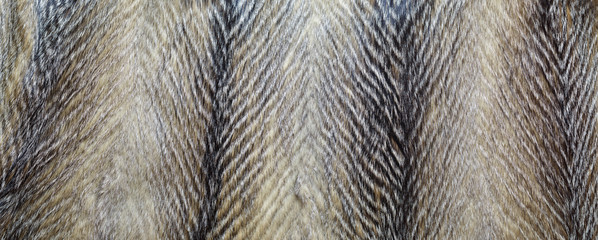 Fur coat close-up, short pile.