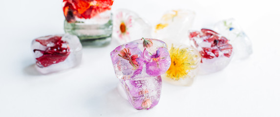 Ice cubes with flowers inside on white background. Springtime symbolism.