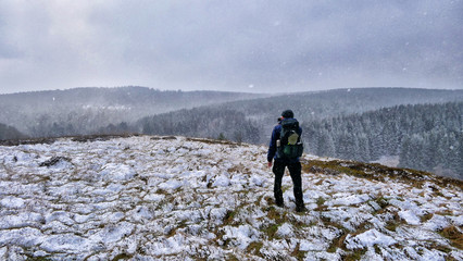 Winter Wonderland 1