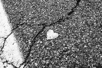 Abstract street photography of isolated heart shaped leaf on concrete asphalt ground. Minimal outdoor urban photography. Blacktop gravel road with cracks on pavement. - 348354004
