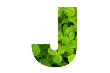 Green Clover Capital J in Poppins Font on White Background
