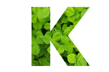 Green Clover Capital K in Poppins on White Background