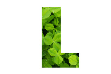 Green Clover Capital L in Poppins on White Background