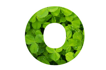 Green Clover Capital O in Poppins Font on White Background