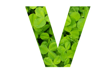 Green Clover Capital V in Poppins Font on White Background