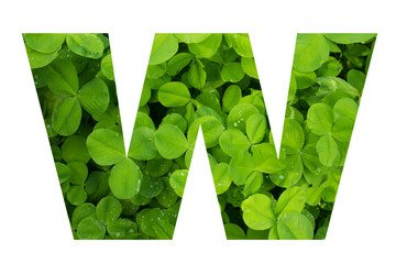 Green Clover Capital W in Poppins Font on White Background