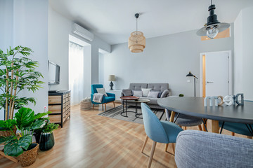 living room in gray tones
