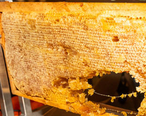 A piece of fresh and sweet dessert honeycomb station in a breakfast buffet, self service
