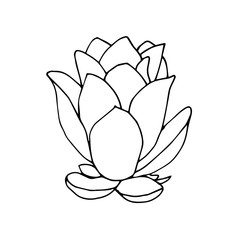 Black and White Lotus flower illustration. Vector illustration isolated on white background.