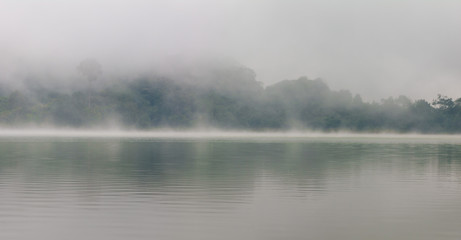 Fototapeta premium Fog in the middle of a green lake