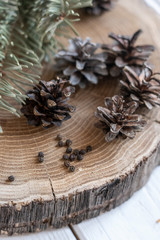 cones on an oak stand