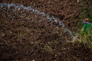 watering can in the garden