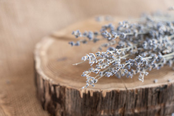 bouquet of lovanda on an oak cut