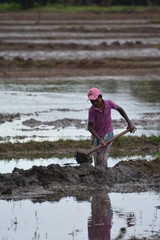 child farmer in Sri Lanka