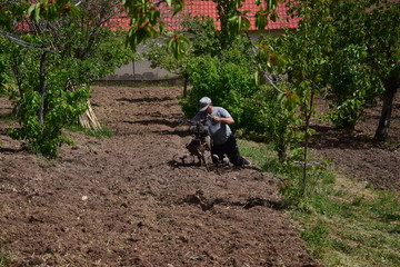 farmer working in a field