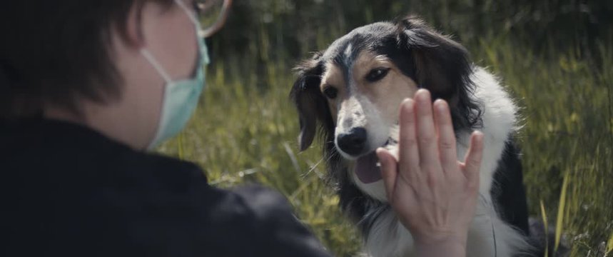 Woman with face mask teach her shepherd dog high five tricks and give her treats on a post coronavirus staycation new normal over close up
