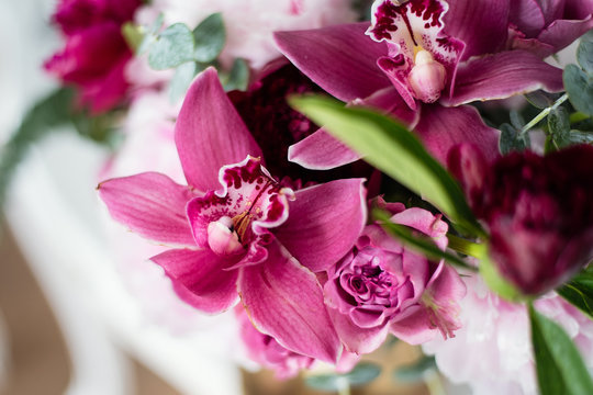 burgundy archidea close-up, flower in a bouquet
