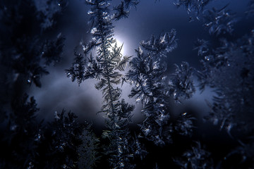 Fototapeta premium patterns on glass, frosty drawings in winter on a window, blue background and ice drawings, droplets of fody, reflection through glass,