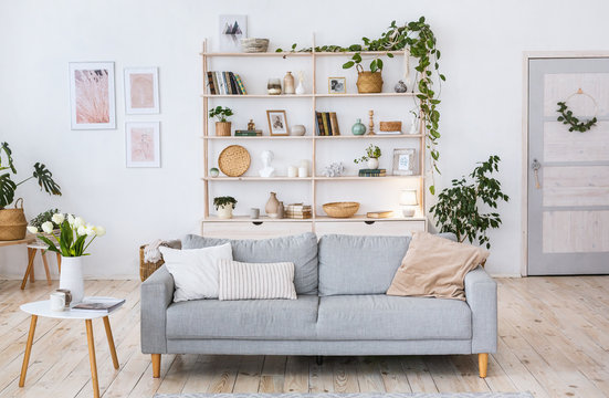 Cozy design, light wall, wooden floor, blue sofa and plants in pot.