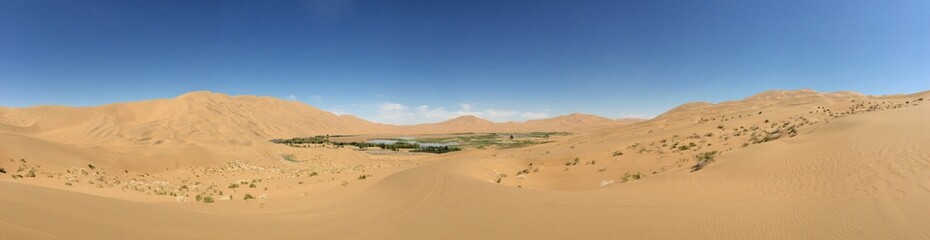Fototapeta na wymiar Desert Oasis Panorama