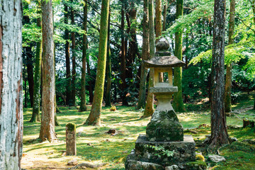 Traditional stone lantern with forest at Godaisan mountain Chikurin-ji temple in Kochi, Shikoku,...